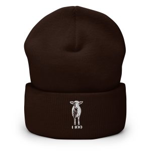 1/100 - Cuffed Beanie
