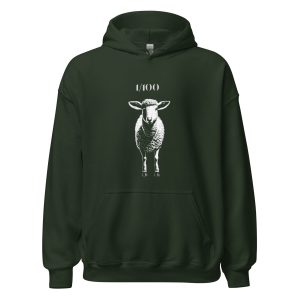 1/100 - Hoodie